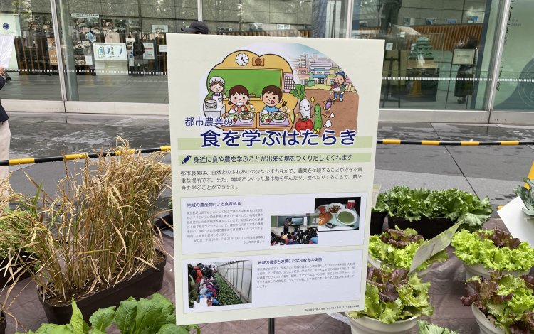 【有楽町エリア】