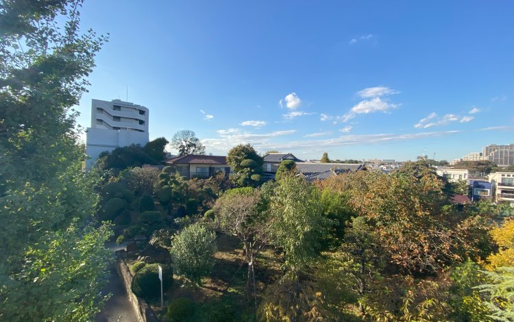 自由が丘駅から徒歩15分、都会のオアシスのような空間