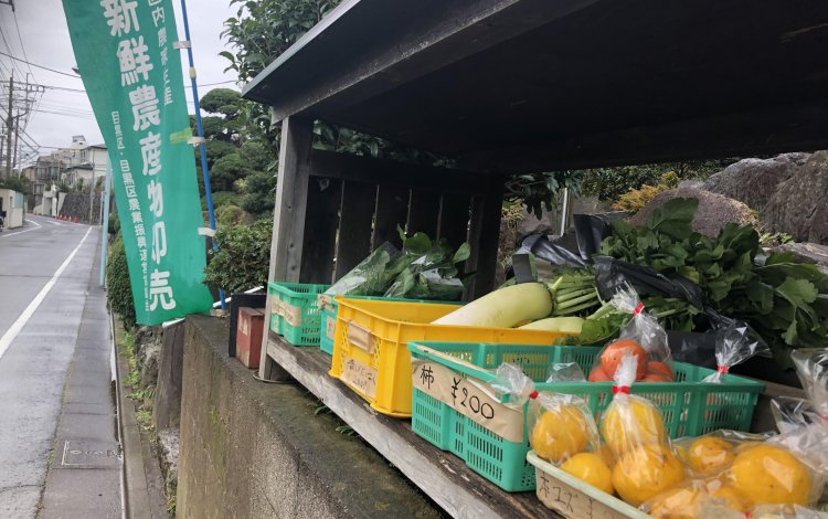 都心から消えゆく農地が持つ価値とは？