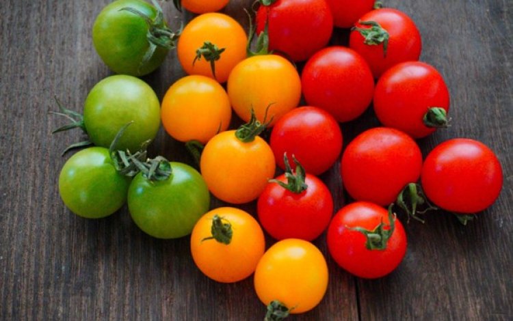 食育における色の役割とは？