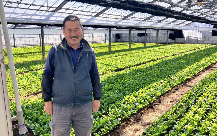 直売所情報まとめ