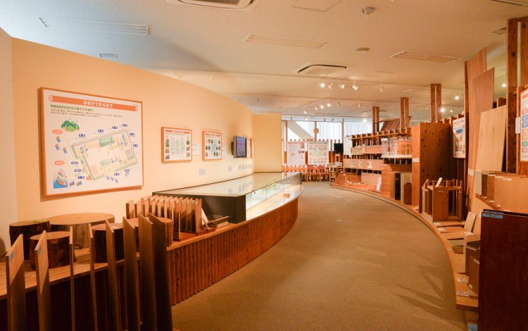 周辺のお散歩スポット