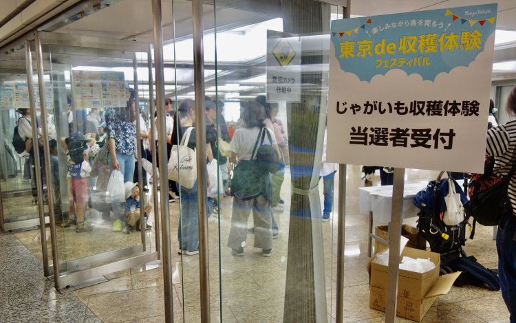 練馬区内の農園で“ジャガイモ収穫体験”