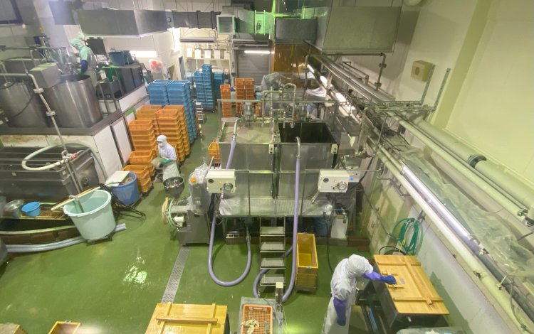 見学フロアーで「コンニャク好き」を増やす取り組み