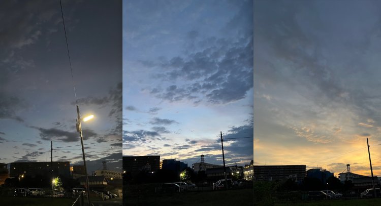 地球沸騰化時代の昨今、農作業は早朝か夕方に限る
