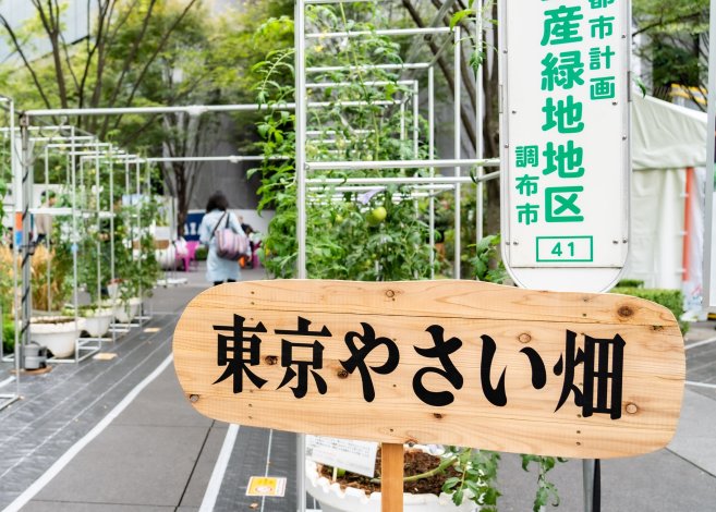 東京農業の魅力を発見する”東京やさい畑”で収穫体験
～東京の真ん中に畑が出現！？～