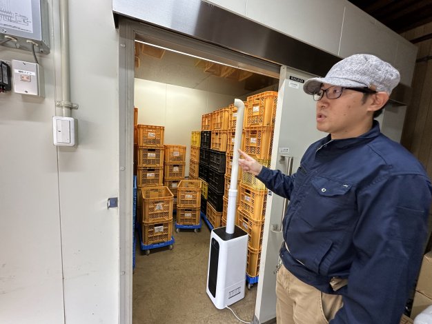 貯蔵庫で寝かせてサツマイモの甘みを出す