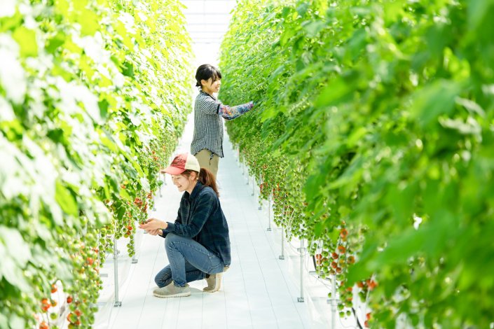 都市農業の新しい形をつくる「ネイバーズファーム」の物語