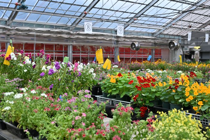 花はおいしいのかまずいのか