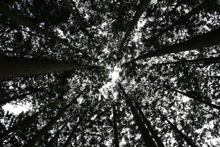 昼食を終えて、再び山道へ
（高明山～馬頭刈山頂）