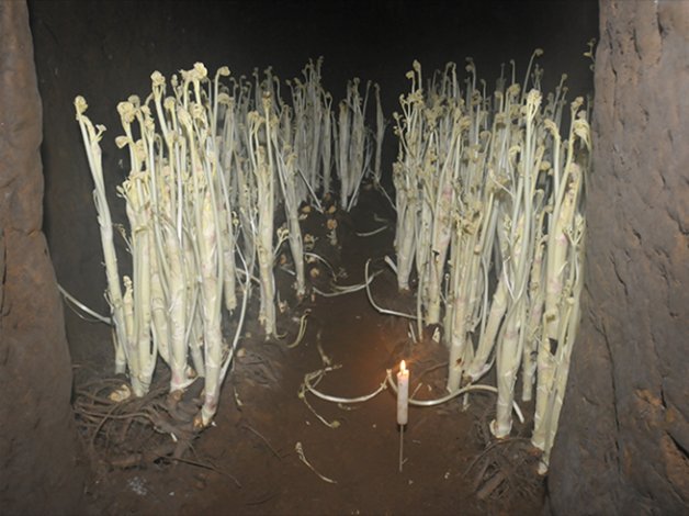 継承という名の“未来の穴”