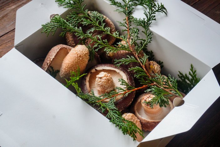 東京の森が育てる原木しいたけ