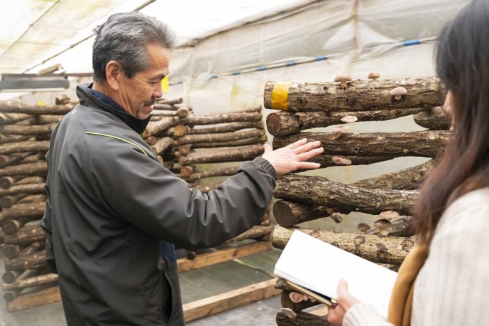 きのこは『木の子』！？