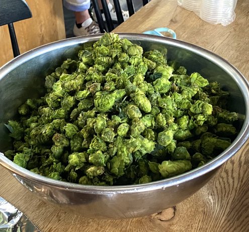 いよいよホップを投入！のまえに…