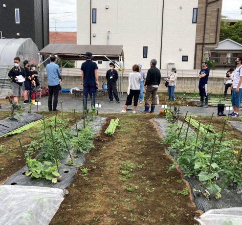 JA世田谷目黒「玉堤体験農園」