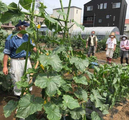 JA世田谷目黒「玉堤体験農園」