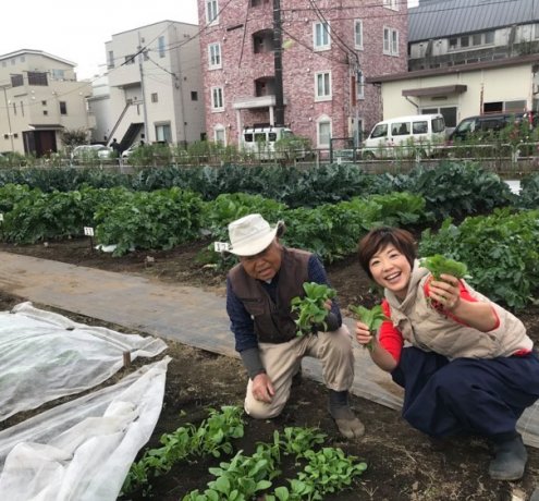 JA世田谷目黒「玉堤体験農園」