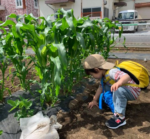 農体験で「持続可能」な、「まち」に。
