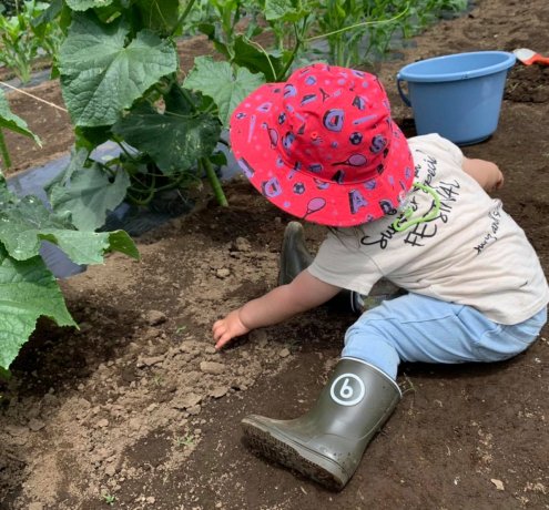 農体験で「持続可能」な、「まち」に。