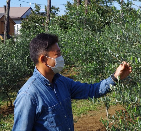 東京で初めてのオリーブオイル加工にチャレンジ