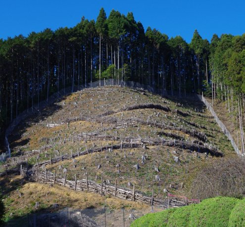 いよいよスタートです！