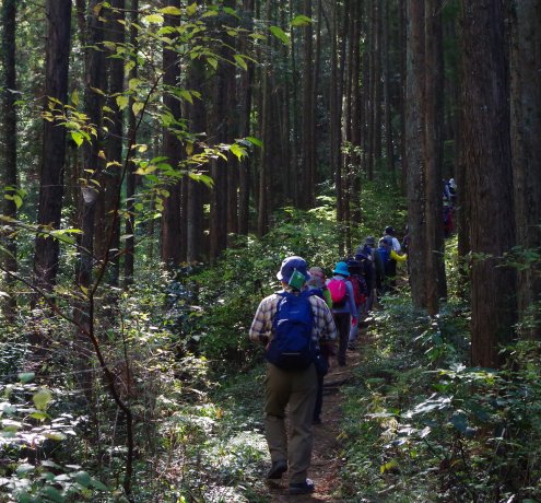 多摩川のビュースポットを通過し、登山口へ向かいます。