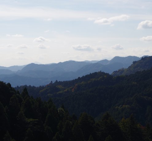 愛宕山分岐点にて