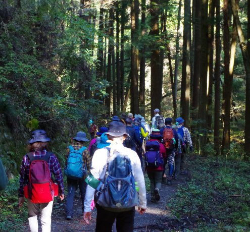 馬引沢峠から駒木町へ