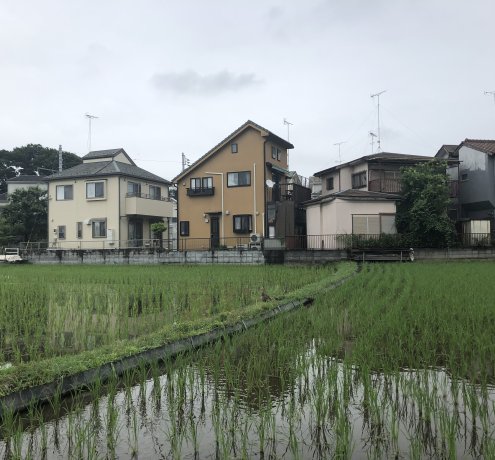 世界で注目されるアーバンファーミング（都市農業）