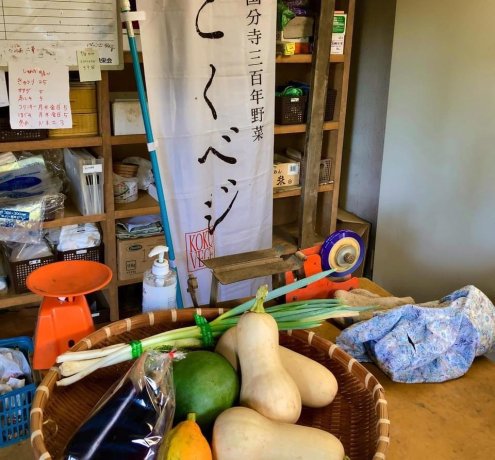 新鮮な野菜と一緒にこくベジ便が届けるもの