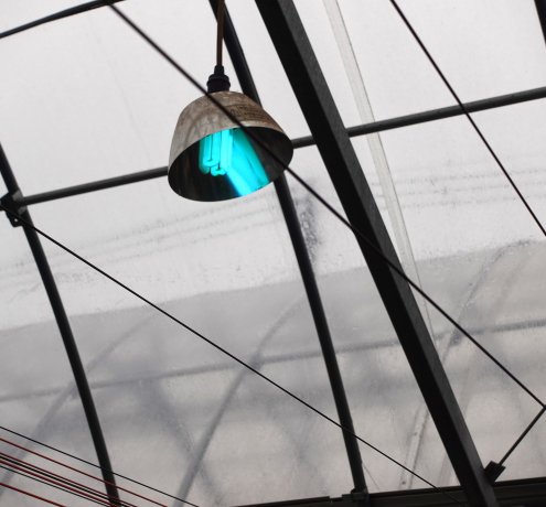 都市農業を進化させる資材活用