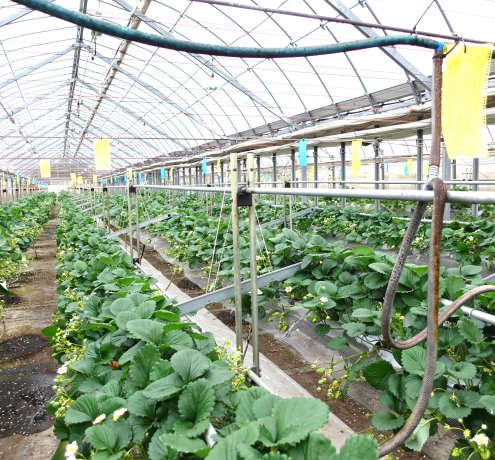 都市農業を進化させる資材活用