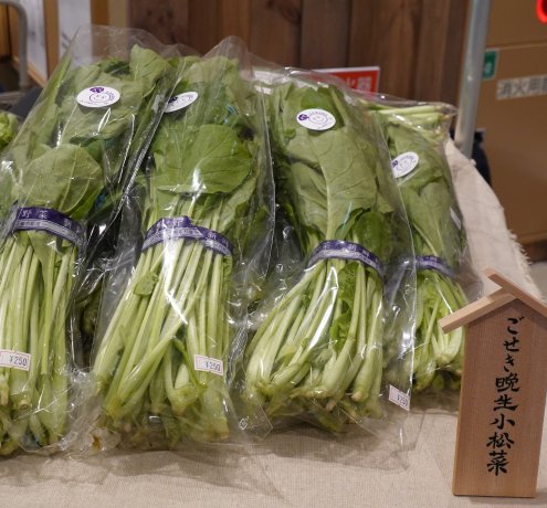 江戸東京野菜は、現在52種類。