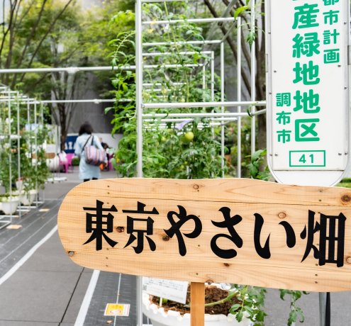 東京農業の魅力を発見する”東京やさい畑”で収穫体験
～東京の真ん中に畑が出現！？～