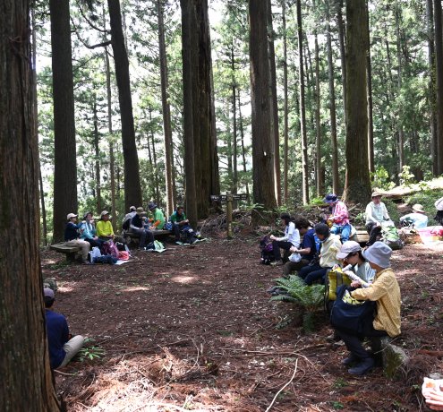 昼食を終えて、再び山道へ
（高明山～馬頭刈山頂）