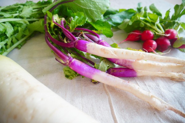 切って楽しむ東京野菜シリーズ「 カラフル大根&カブ」 List Image