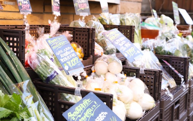 産地名・生産農家名・入荷日・おすすめの食べ方などを書いたPOP