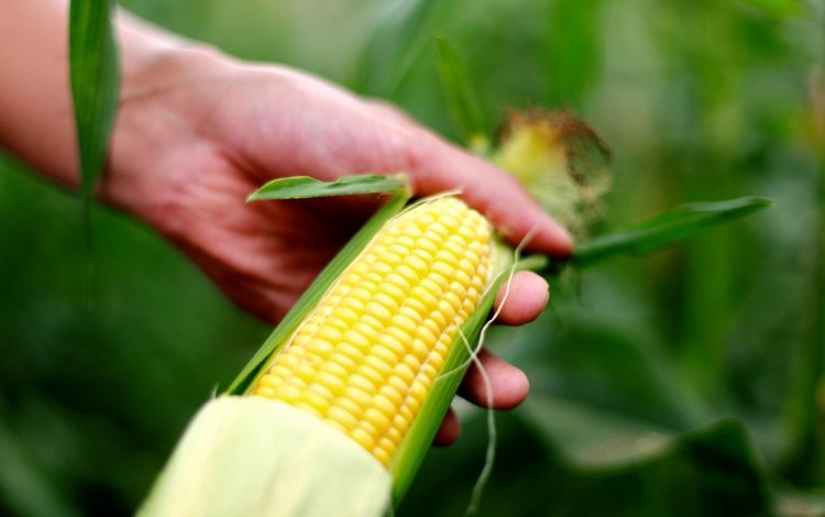 他地域の農家さんとも繋がる