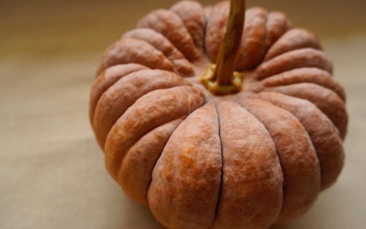 江戸東京野菜「内藤かぼちゃ」