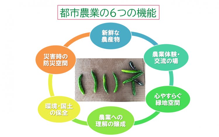 都市農業が、市民にもたらす「役割」とは⁈