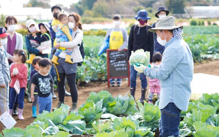 野菜のプロである農家さんから教わる