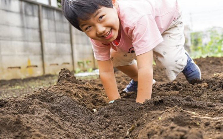 土に触れる心地よさ、思いがけない発見に満ちている