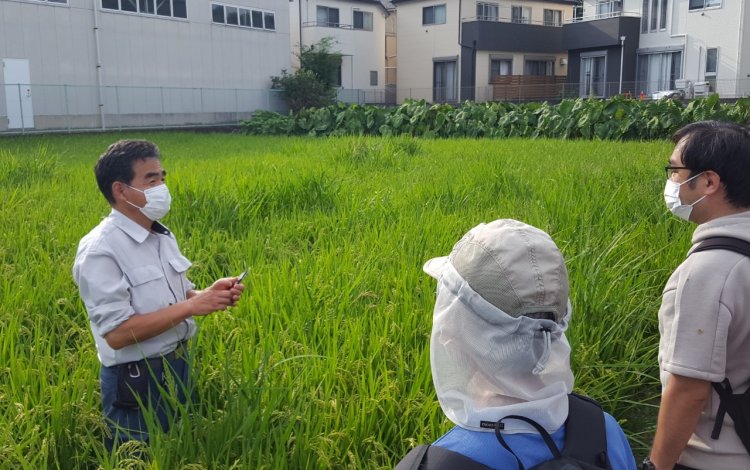 1　ここは田んぼ！