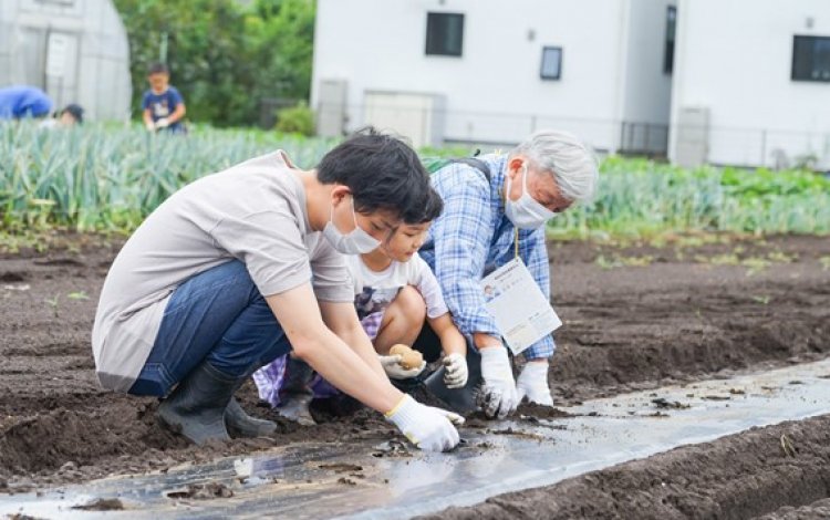 タネ？苗？ 野菜によって異なる最初の姿