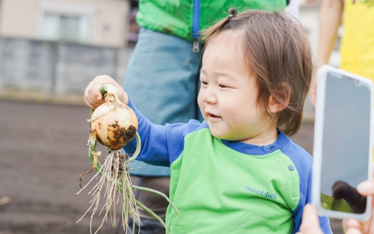 同じ畑に「通う」ことで、野菜から季節の移ろいを感じる