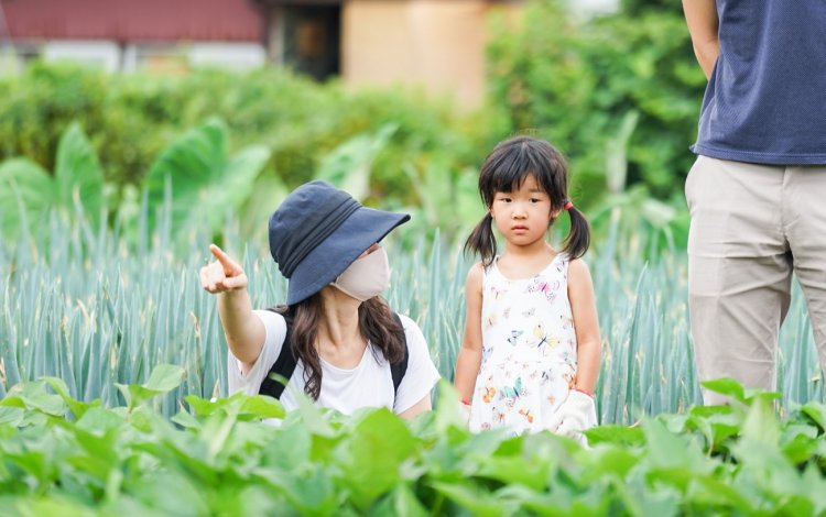 同じ畑に「通う」ことで、野菜から季節の移ろいを感じる