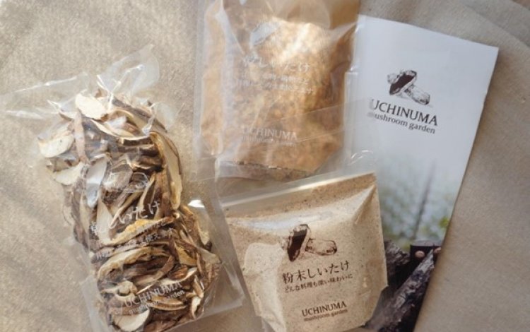 干しシイタケ