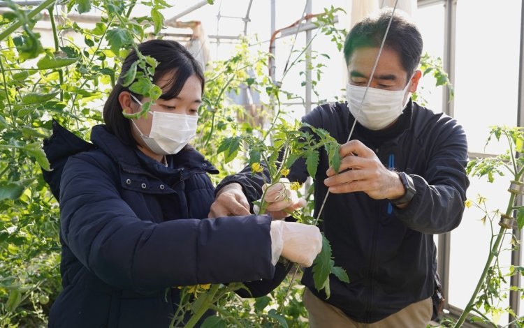 畑に触れると、毎日の食卓がちょっと楽しくなる