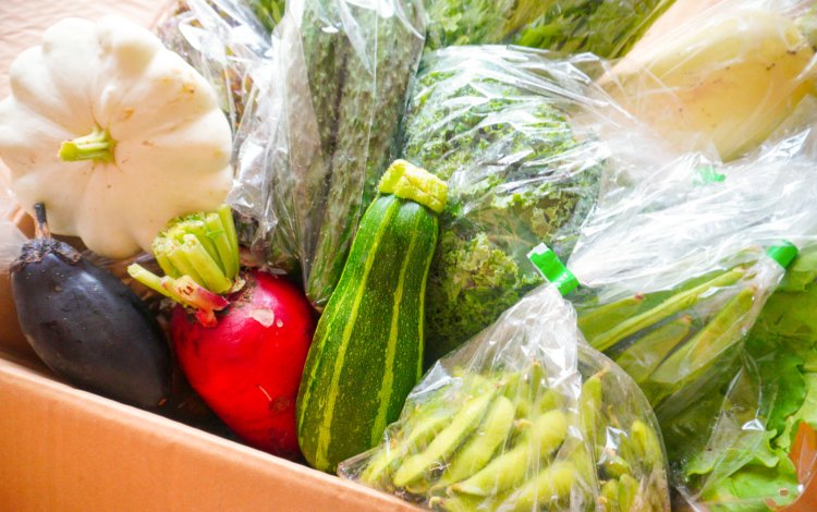 『切って楽しむ東京野菜』