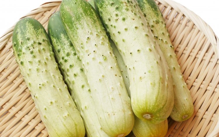 さらに楽しむ！バリエーション豊かな変わり種野菜たち